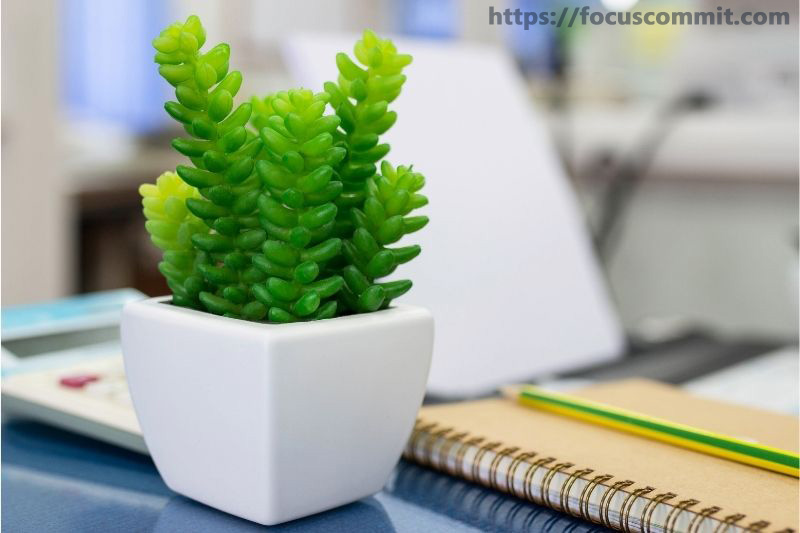 Office Setup For Productivity - Indispensable trees